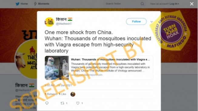 CEK FAKTA: Benarkah Ribuan Nyamuk Yang Disuntik Viagra Lepas dari Lab Wuhan?