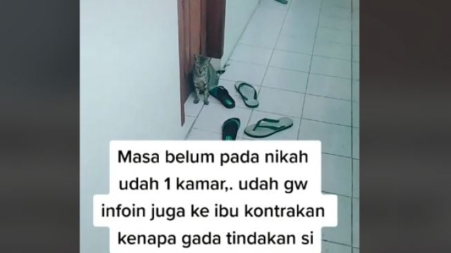 Kamar kontrakan (tiktok)