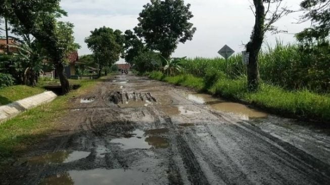 Pedas! Warga Sindir Bupati Pemalang Usai 50% Jalan Rusak Parah