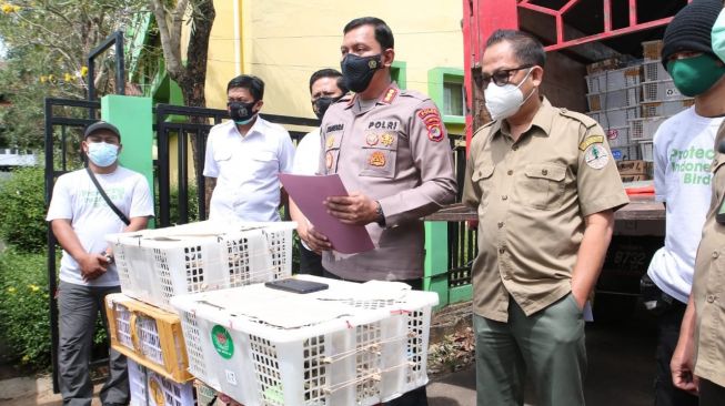 Truk Penyelundup Burung Tabrak Mobil BKSDA di Tol Sidomulyo