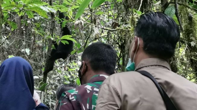 KLHK Lepasliarkan Satwa Dilindungi di Jambi