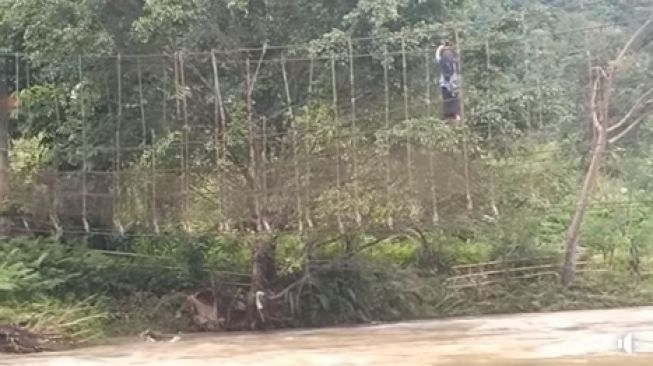 Menegangkan! Video Wanita Bertaruh Nyawa Bergantungan di Jembatan Rusak, Arus Sungai Deras