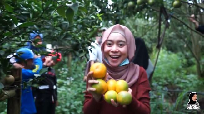 Potret kebun jeruk Lesti Kejora. (YouTube/Yuni Andriyani Official)