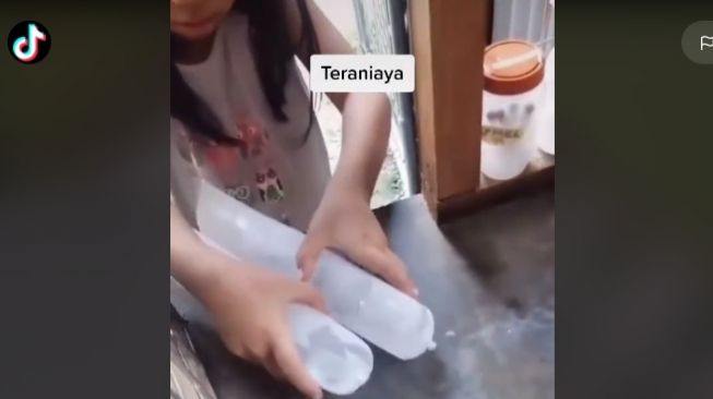 Aksi jail penjual es batu (tiktok)