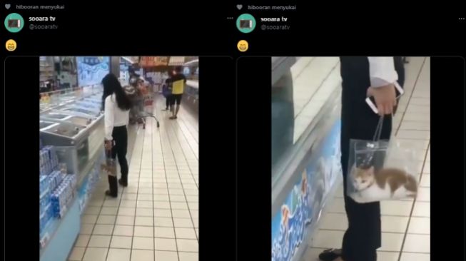 Viral Cewek Pakai Tas Transparan ke Supermarket, Pas Dizoom Publik Kaget Lihat Isinya. (Twitter/@sooaratv)