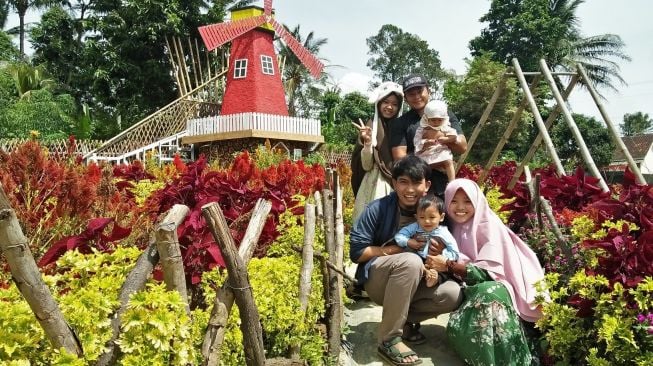 Umbul Helau Lampung: Manjakan Mata dengan Warna-Warni Celosia