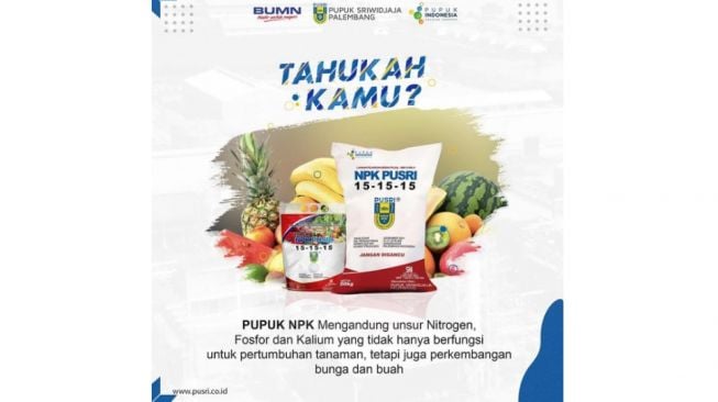 Pupuk NPK: Fungsi dan Cara Pakai