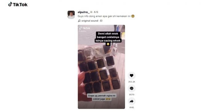 Pelet dikira coklat. [TikTok]