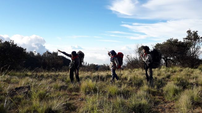 Pendakian Gunung Lawu Ditutup Akibat Cuaca Buruk, Perhutani Ungkap Kapan Buka