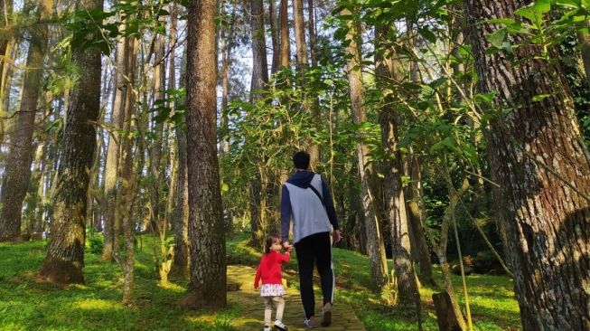 Tahura Djuanda, Wisata Hutan Bersama Keluarga