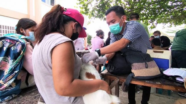 Daerah di Kawasan Danau Toba Fokus Penanganan Rabies