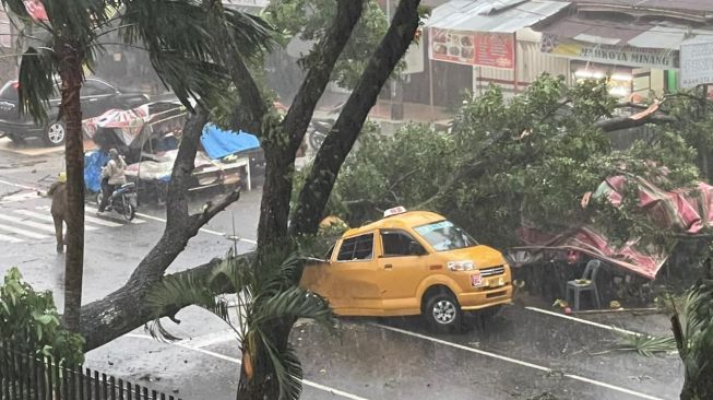 Pohon Tumbang Timpa Angkot Depan RSUP Adam Malik, Dua Orang Tewas