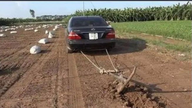 Deretan Evolusi Nyeleneh Mobil Penumpang yang Beralih Fungsi, Bikin Geleng-Geleng Kepala