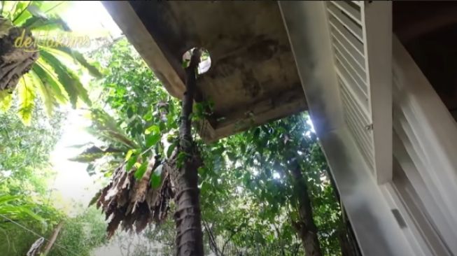 Potret rumah hutan Haji Asari [YouTube/Irfan Hakim]