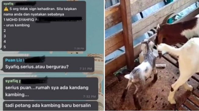 Tangkapan layar percakapan siswa dan foto kambing.[ TikTok/@cahhhhhhh_ via World Of Buzz]