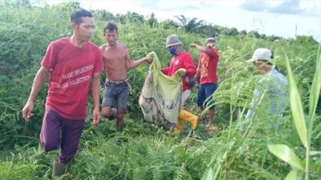 Seorang petani di Dumai, Riau ditemukan tewas, diduga diterkam harimau. [Ist]
