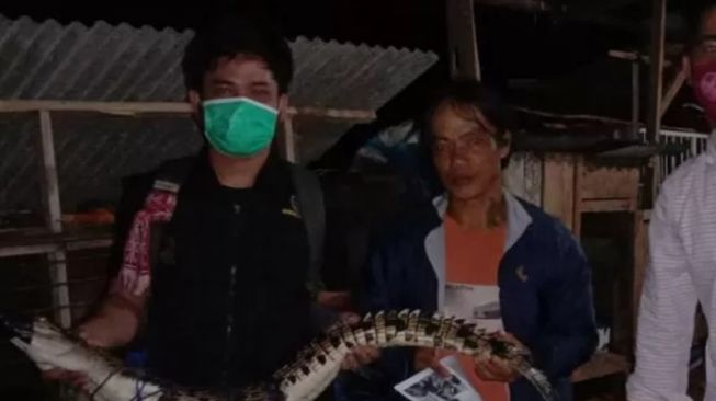 Diduga Tersesat, Anak Buaya Muara Ditangkap Seorang Pemancing di Kabupaten Agam