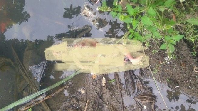 Heboh! Anak-anak Jombang Ini Lagi Main Nemu Bayi Merah Mengambang di Sungai