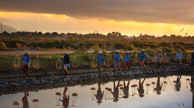 Kisah Ghufron, Petani Kacang Tanah yang Berjuang Hasilkan Panen Berkualitas di Tengah Cuaca Panas Ekstrem