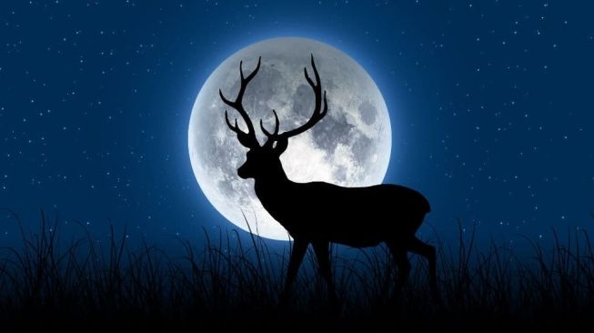 Jangan Lewatkan! Buck Moon Akan Hiasi Langit Malam Anda di Akhir Pekan Ini