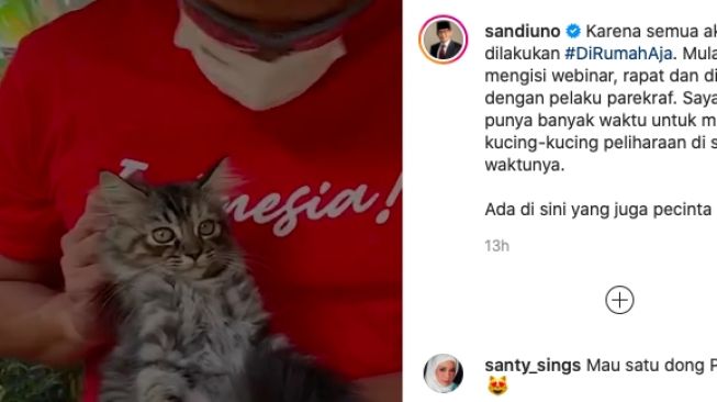 Sandiaga Uno Punya Kucing Magelang dan Makassar, Netizen: Penyayang Nih