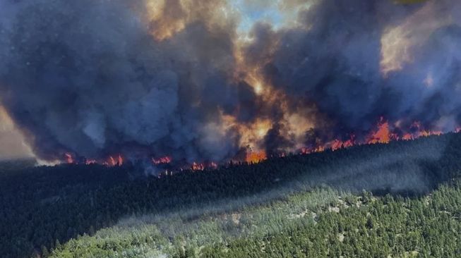Kanada Dilanda Cuaca Panas Ekstrem, 719 Orang Tewas dan Lebih dari 100 Hutan Terbakar
