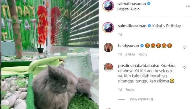 Momen ulang tahun kucing Salmafina Sunan [Instagram/salmafinasunan]