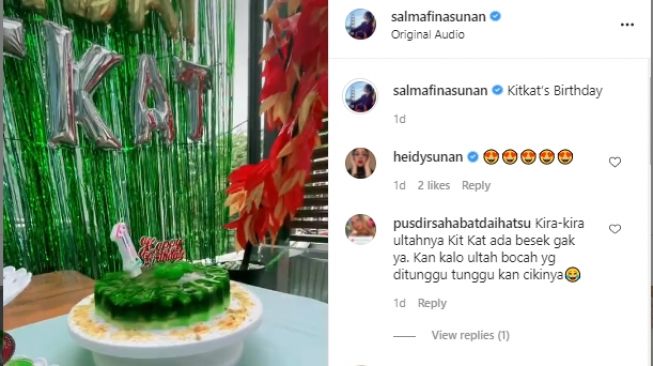 Momen ulang tahun kucing Salmafina Sunan [Instagram/salmafinasunan]