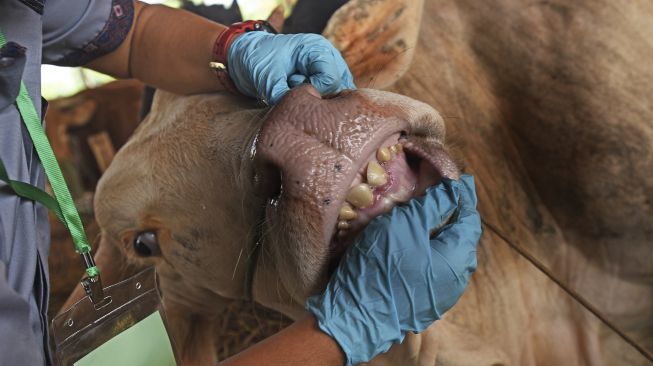 Tata Cara Pelaksanaan Idul Adha di Masa Pandemi Covid-19, Penting!