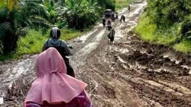 Jalan Provinsi Rusak Berat Seperti Kubangan Kerbau, Warganet: Kapan Jalan Kami Diperbaiki