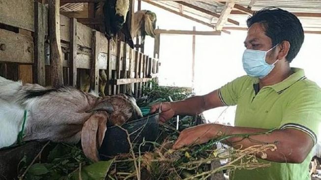 Banting Setir, Dalang di Pacitan Malah Sukses Jualan Kambing di Masa Pandem