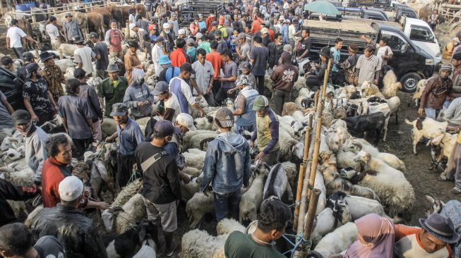 Kerumunan pedagang dan pembeli di Pasar Hewan Jonggol, Kabupaten Bogor, Jawa Barat, Kamis (15/7/2021). ANTARA FOTO/Yulius Satria Wijaya