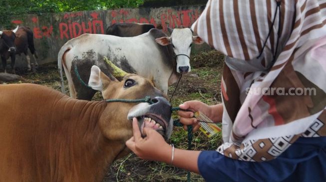 Menjaga Hari Raya Kurban yang Aman di Saat Pandemi