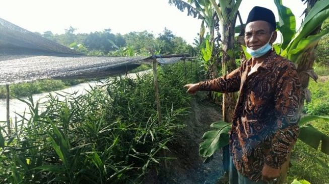 Cerita Pak Itam, Dari Penebang Kayu Ilegal Berjaya Menjadi Pebisnis Sarang Walet