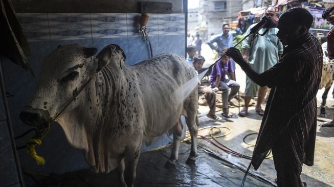 Seorang pria mencuci sapi milik pelanggan di sebuah bengkel mobil menjelang perayaan Idul Adha di Karachi, Pakistan, pada (14/7/2021). [Rizwan TABASSUM / AFP]