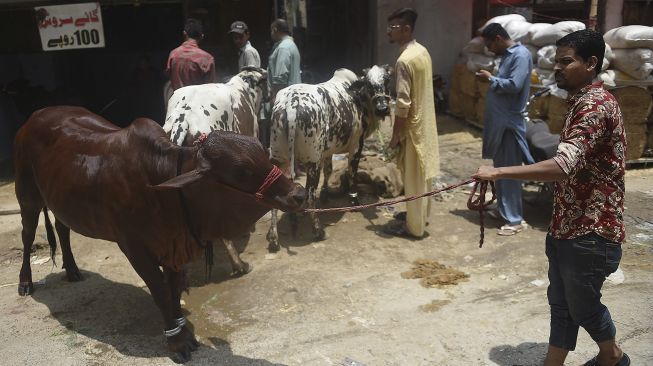 Pelanggan membawa ternak mereka usai mencuci sapi mereka di sebuah bengkel mobil menjelang perayaan Idul Adha di Karachi, Pakistan, pada (14/7/2021). [Rizwan TABASSUM / AFP]