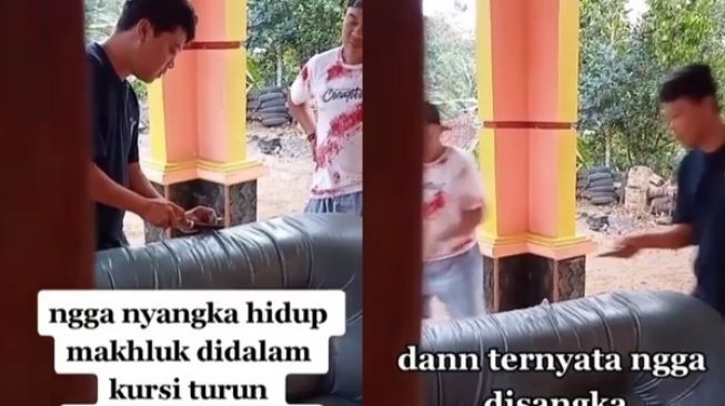 Ada yang Bergerak-gerak di Dalam Sofa, Saat Dibuka Pemilik Dibuat Terkejut