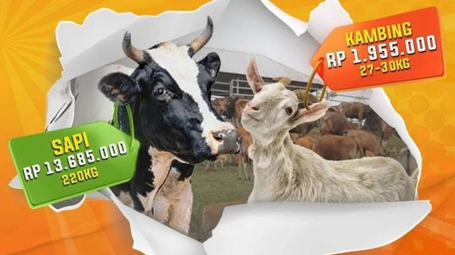 Promo Flash Sale! Kurban di Global Qurban Semakin Terjangkau