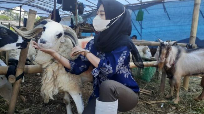 Mahasiswi IPB Berparas Cantik tak Gengsi Jualan Kambing di Dramaga