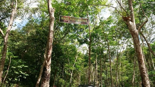 Kaki Bukit Cogong [Tasmalinda/suara.com]