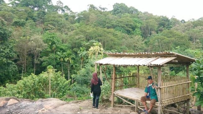 Pemondokan di pendakian Bukit Cogong [Tasmalinda/Suara.com]