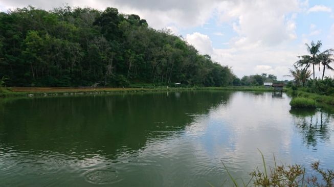 Mantan Perambah yang Kini Menjaga Lanskap Bukit Cogong (1)