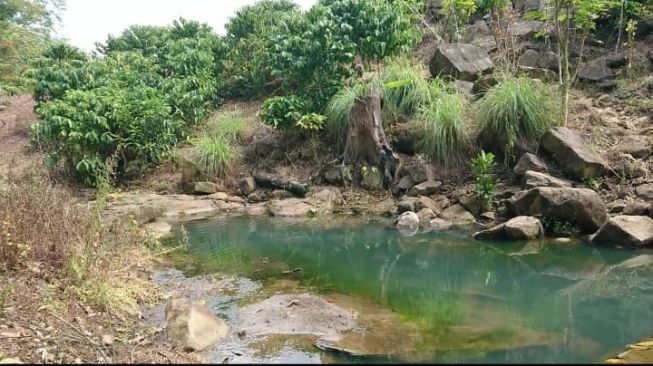 Sumber mata air di Bukit Cogong [Tasmalinda/suara.com]