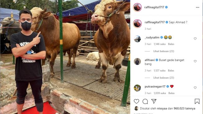 Artis kurban sapi dengan bobot super. [Instagram]