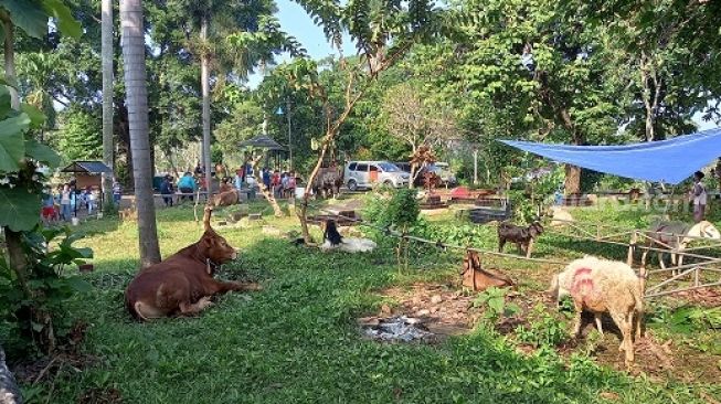 Suasana pemotongan hewan kurban di dekat kediaman Gubernur Anies Baswedan, Senin (20/7/2021). (Suara.com/Arga)