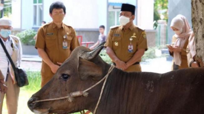 ASN di Pemkot Tanjungpinang Iuran Beli 43 Ekor Hewan Kurban Untuk Warga