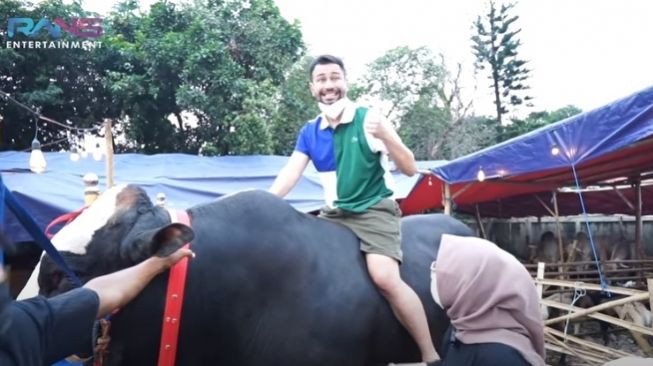 Cerita Unik Si Bager, Sapi Kurban Raffi Ahmad dari Gunung Kidul