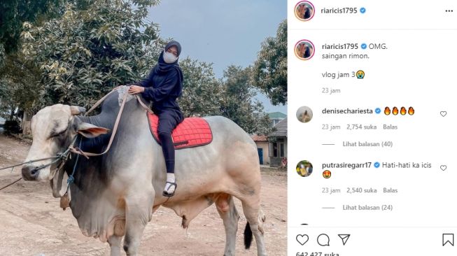 Artis kurban sapi dengan bobot super. [Instagram]