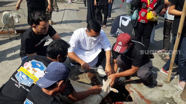 Putra Siregar ikut menyembelih kambing yang dikurbankannya. [Ismail/Suara.com]