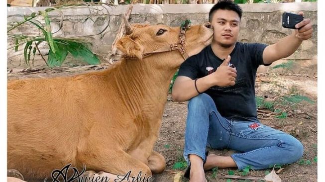 Bikin Ngakak! Niat Selfie Bareng, Pemuda Ini Malah Dicium Sapi Kurban